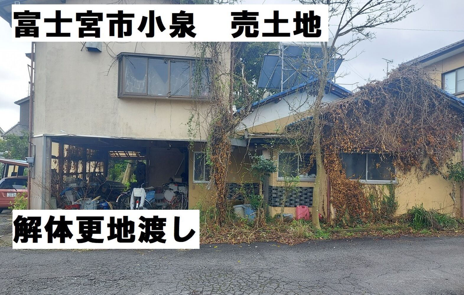 画像1666
