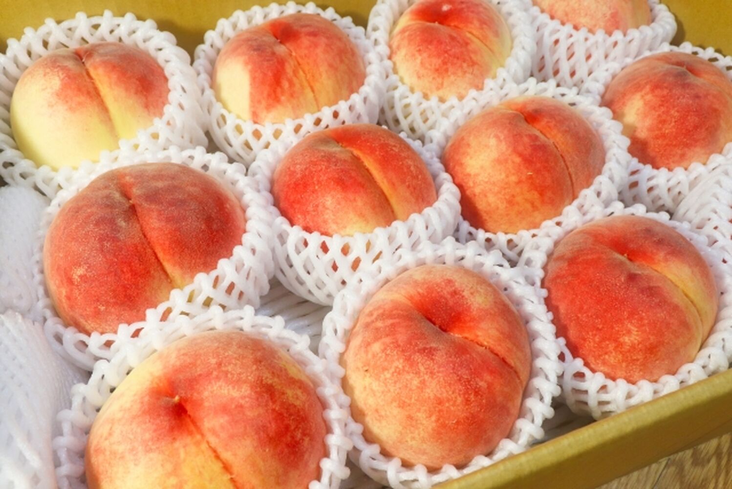 画像1691