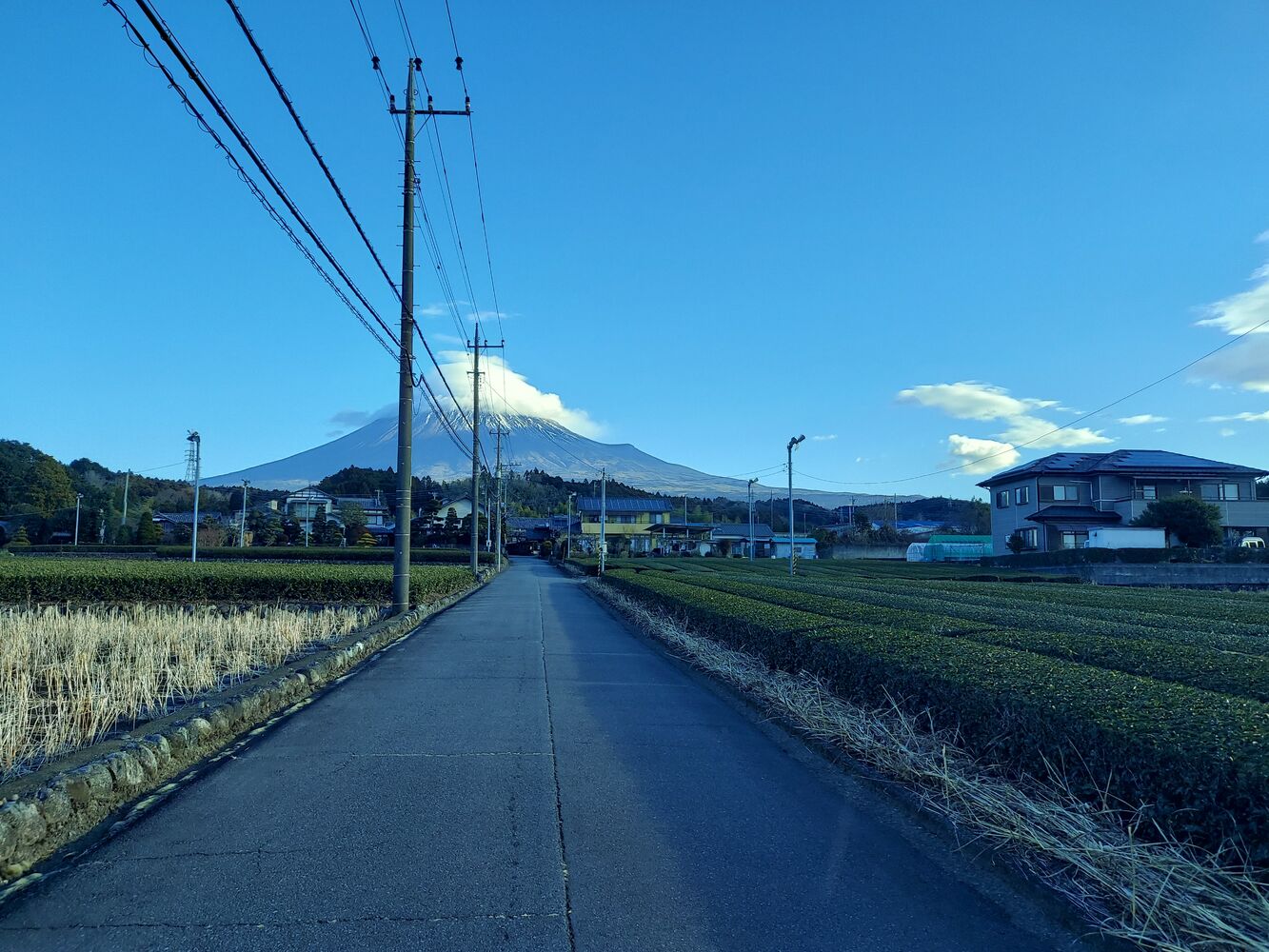 画像2087