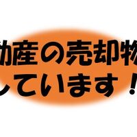 画像2156